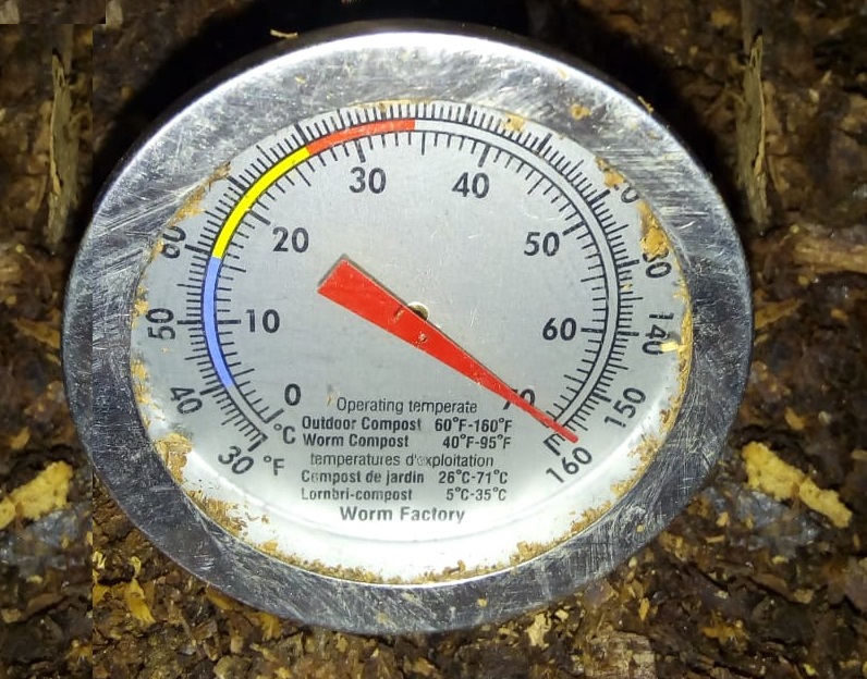 temperature compost phase thermophilea